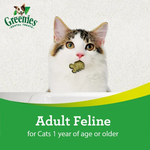 Vista 7 de Greenies Golosinas dentales naturales para gatos adultos recomendadas por veterinarios felinos, sabor hierba gatera, bolsa de 2.1 onzas