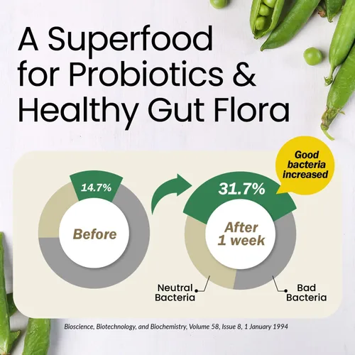 Vista 9 de LABO Nutrition Fibra Orgánica Bioactiva – Sunfiber PHGG Fibra Prebiótica Soluble para la Regularidad Digestiva y Salud Intestinal – Goma de Guar