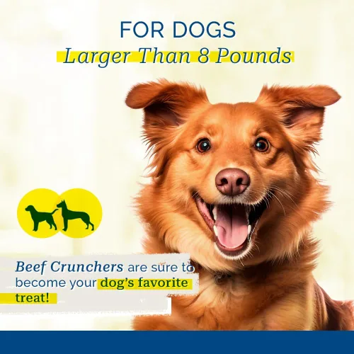 Vista 5 de PCI Golosinas para perros de entrenamiento pulmonar de carne de res - 4 oz