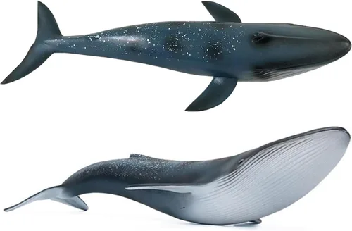 Vista 7 de Figura de ballena Beluga realista sólida, criatura marina del océano blanco, juguete educativo de aprendizaje para niños y niños pequeños 01 Beluga
