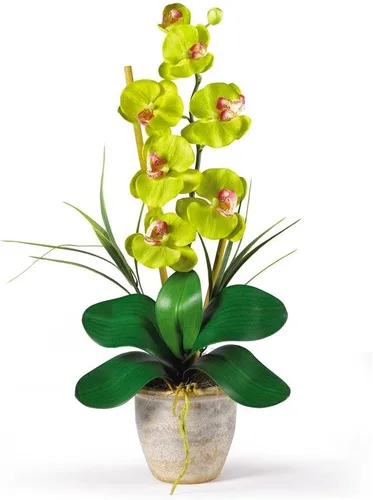 Vista 5 de Nearly Natural 1016-GY Phalaenopsis - Arreglo floral de orquídea de seda, amarillo, 9x6x21