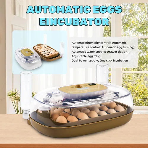 Vista 7 de Ploomi Incubadora de 24 huevos con recarga automática de agua y control de humedad, girador automático de huevos, vela LED integrada, preprogramas