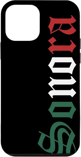 Vista 16 de Sonora Mexico Mexican Flag State Estado Case for iPhone 16