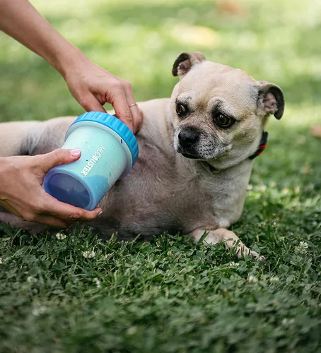 Vista 5 de Dexas MudBuster Limpiador Portátil de Patas de Perro - Calidad Premium, Azul, Tamaño Pequeño para Suministros y Accesorios para Mascotas