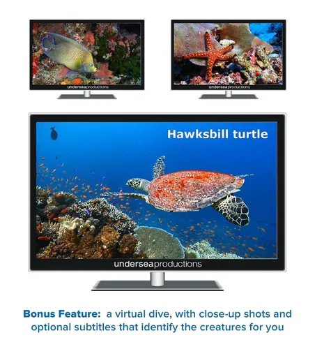 Vista 7 de Reefscapes Nature's Aquarium