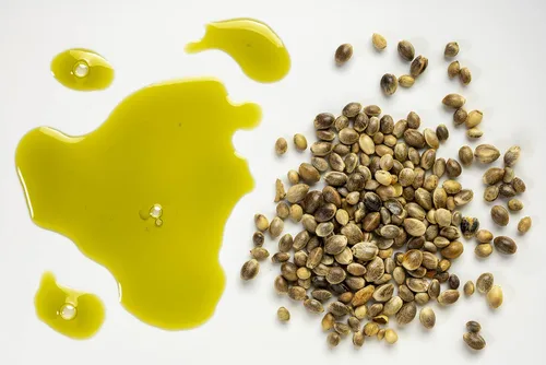 Vista 4 de Organic Pure Oil 4 onzas de aceite de semillas de cáñamo 100% orgánico y natural sin refinar prensado en frío, de calidad farmacéutica superior