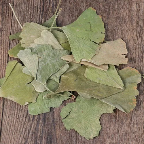 Vista 4 de Hojas secas de Ginkgo Biloba Ginkgo Biloba Hojas sueltas secas - Gingko Maidenhair Tree Yinxingye (8.82 oz)