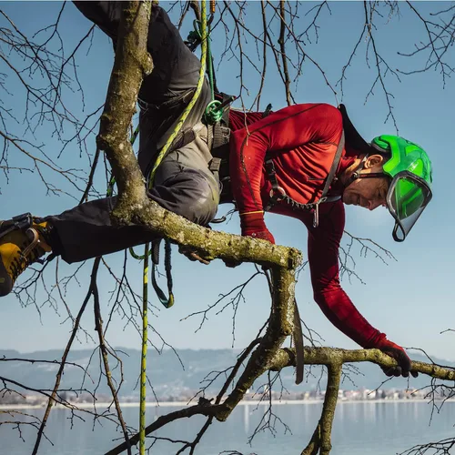Vista 3 de Casco Arborist Integral Protos - Verde y Gris