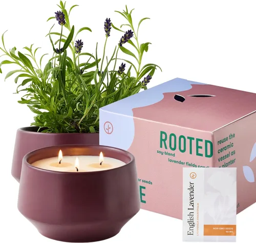 Vista 13 de Modern Sprout Maceta de vela de soja, crece albahaca, aroma a albahaca