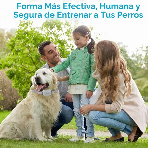 Vista 9 de Collar de entrenamiento para perros de citronela con control remoto. No puede funcionar automáticamente, 3 modos y 3 niveles de pulverización