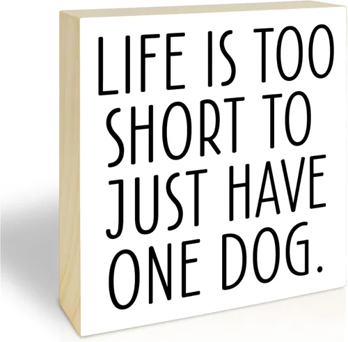 Vista 11 de 4x4 Funny Cat Wooden Block Sign, Spoiled Cats Live Here