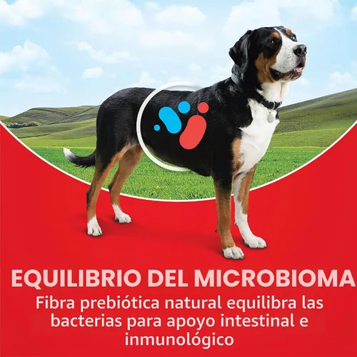 Vista 3 de Purina ONE SmartBlend - Alimento seco natural para perros adultos