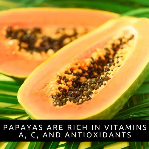 Vista 6 de 10 semillas de papaya enana para plantar, cultiva tu propio árbol frutal tropical en casa, patio o jardín - Sin OMG, de rápido crecimiento, frutas