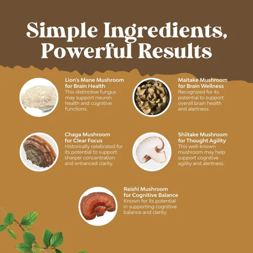 Vista 5 de Suplemento avanzado de hongo melena de león – Cápsulas de suplemento de melena de león con Reishi Chaga Maitake y Shiitake para la salud cerebral