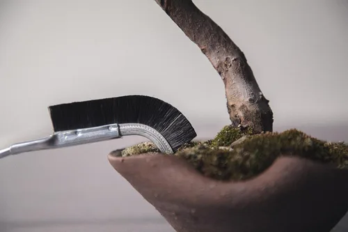 Vista 3 de Wazakura Cepillo De Cabeza Curva Bonsai Hecho En Japón 9-1/4inch(235mm) - Negro