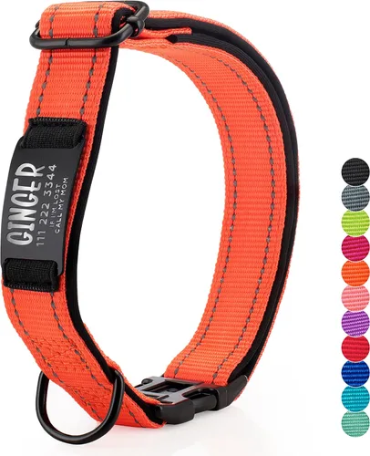 Vista 11 de ACTUALIZADO - Collares de perro personalizados y placa de identificación grabada, collar de perro de nailon reflectante, personalizable en 11