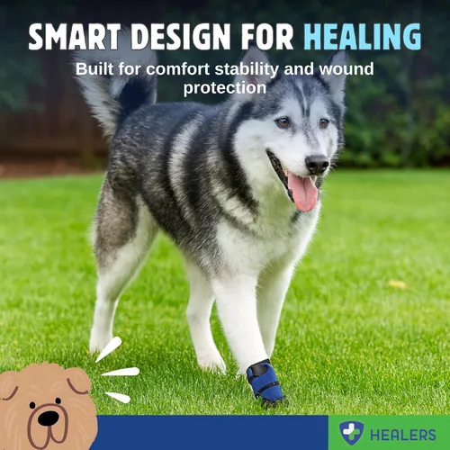 Vista 5 de Healers Botas y vendajes médicos para perros, XS 2 botines, gasa antiadherente incluida, tejido transpirable, suela antideslizante, correa
