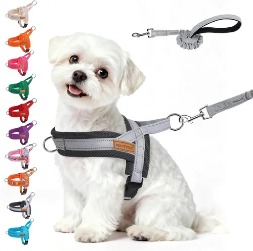 Vista 27 de BEAUTYZOO Arnés para Perros Pequeños, Juego de Arnés y Correa sin Tirones, Arnés de Pecho para Cachorros a Prueba de Escapes con Mango, Arnés Beige
