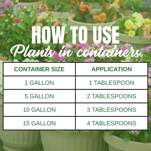 Vista 6 de Nelson Plant Food s ColorStar Fertilizante para plantas de interior y exterior – Alimento vegetal denso en nutrientes para aumentar