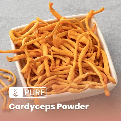 Vista 3 de Pure Original Ingredients Cordyceps (8oz) Suplemento herbario tradicional, sin OMG