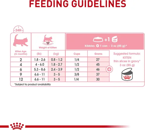 Vista 7 de Comida enlatada para gatos, de Royal Canin, salud felina, nutrición instintiva de adultos, rebanadas delgadas en salsa, Paquete de 6