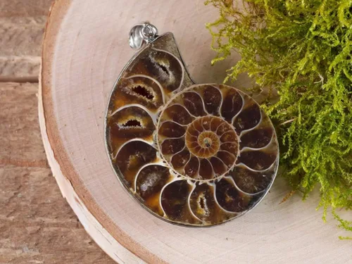 Vista 6 de gemhub Collar con colgante de plata de ley 925 de caracol fósil de amonita de piedra natural para mujeres y hombres, regalo del día de San Valentín