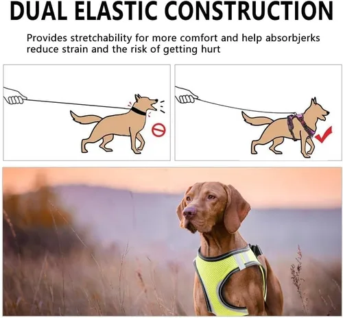Vista 3 de PAWISE Arnés de malla reflectante para perro, chaleco de malla acolchada suave para caminar, arnés para mascotas sin tirones con 2 clips para correa