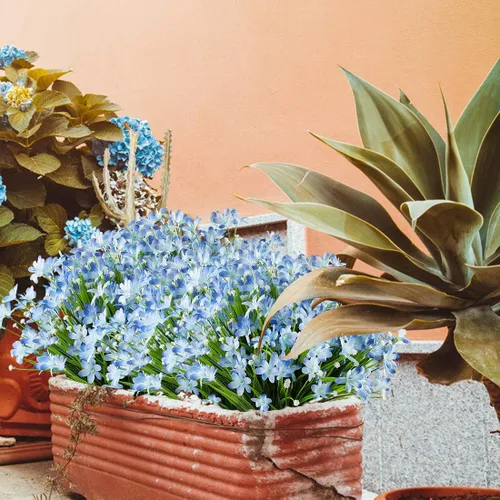 Vista 5 de 6 paquetes de flores artificiales de narcisos, vegetación artificial falsa, resistente a los rayos UV, no se decolora, plantas de plástico sintético