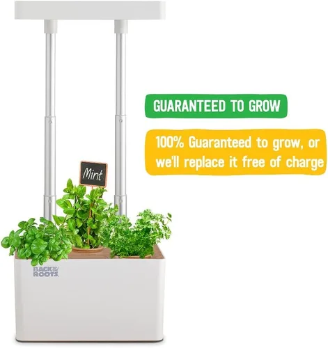 Vista 4 de Back to the Roots v1.0 Kit de cultivo hidropónico, Modelo 2022
