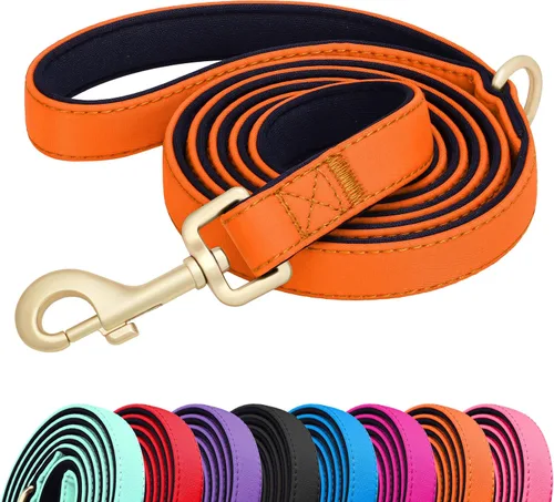 Vista 12 de Didog Correa para perro de nailon colorido de 5 pies con acolchado suave de longitud completa, ligera y duradera para perros pequeños, negro, S