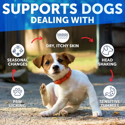 Vista 5 de Masticables para alergias para perros, alivio de picazón en la piel para perros, 120 golosinas suaves masticables con calostro y probióticos