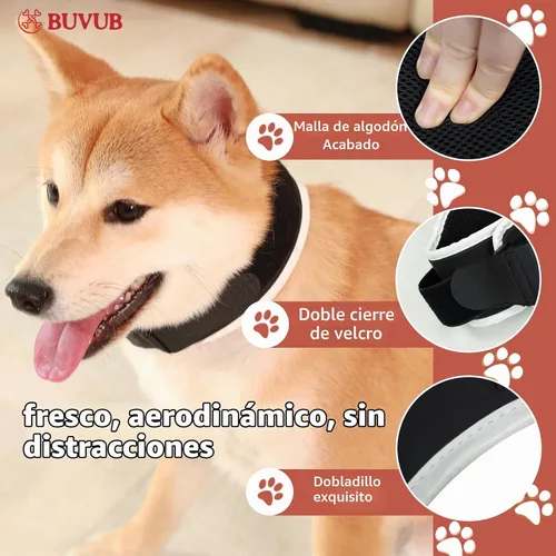 Vista 7 de Soporte de cuello para perro con placa de soporte semirrígida integrada para enfermedad del disco intervertebral (IVDD) Esguinces vertebrales