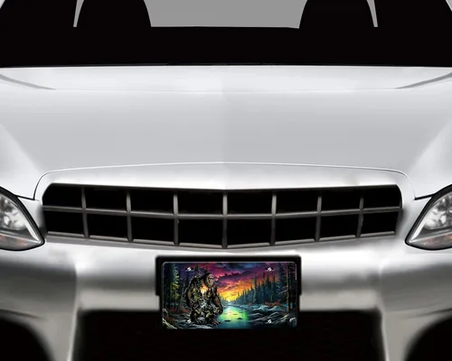 Vista 2 de Placa de matrícula delantera decorativa de vanidad - Linda placa de matrícula para coche fabricada en EE. UU. - Placa de metal de aluminio - Placa