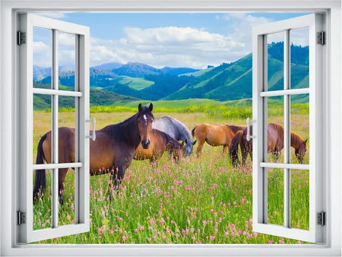 Vista 2 de wall26 Adhesivo removible de pared/mural de pared, vista de ventana, rústico, campo, semental, caballos, animales, naturaleza, fotografía, realismo