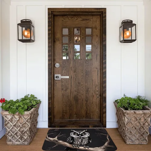 Vista 6 de Late Night Owl Indoor Doormat Washable Welcome Mats Non Slip Entryway Floor Mat Floor Outdoor Indoor Rug for Home Entrance, Outside Entry, Yard 23.6