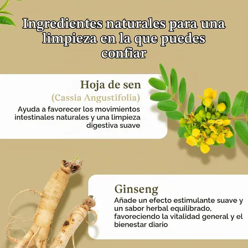 Vista 5 de 3 Ballerina Té de ginseng, bolsas de té de hierbas extra fuertes para hombres y mujeres, 18