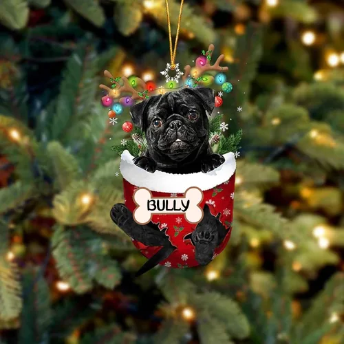 Vista 155 de IZI POD Affenpinscher Adorno de Navidad personalizado para perro, adorno de bolsillo de nieve para perro para árbol de Navidad, adorno acrílico