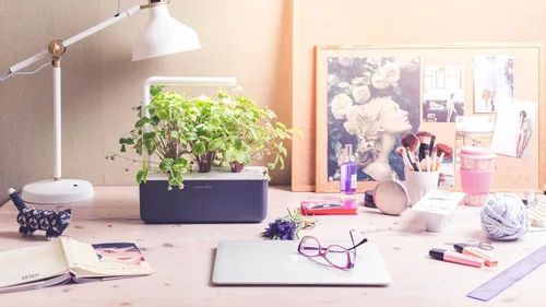 Vista 7 de Click & Grow Smart Garden 3 - Kit de jardinería para interiores (incluye cápsulas de albahaca) Easier than a hydroponic growing system. Patented