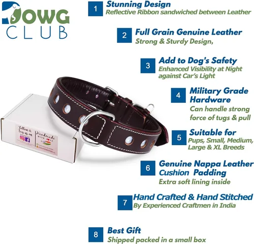 Vista 3 de Collar de Perro de Cuero Genuino Grano Completo, Resistente Cómodo, Acolchado, Fuerte Ideal para Cachorros, Razas Pequeñas, Medianas