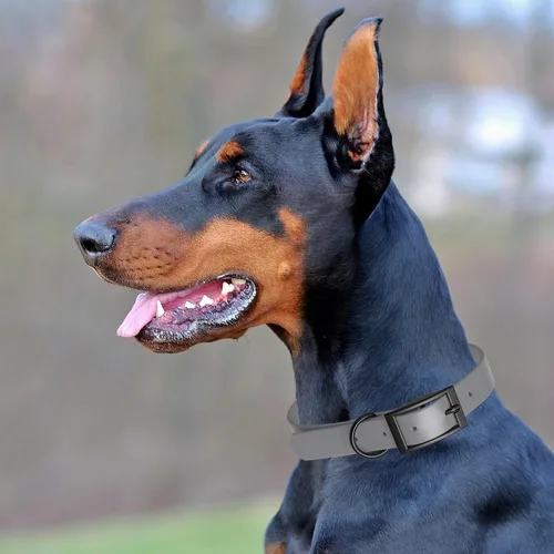 Vista 90 de Dogline Biothane - Collar impermeable para perro con hebilla de liberación rápida, resistente cincha de nailon recubierta con resistente y a prueba