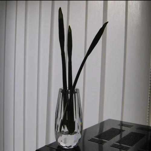 Vista 3 de Mini jarrón decorativo de flores de cristal para el hogar o mesa de comedor, dimensiones de 2.4 x 4.7 pulgadas con caja de regalo