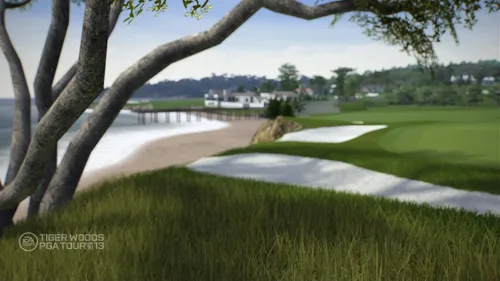 Vista 10 de Tiger Woods PGA TOUR 13 - Xbox 360