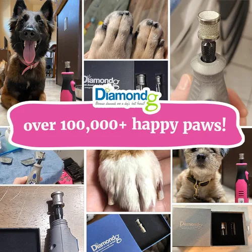 Vista 8 de Diamondg Broca para molinillo de uñas para perro, 1 paquete – Compatible con Dremel, broca de diamante para uñas de mascotas con cuerpo de grano 60