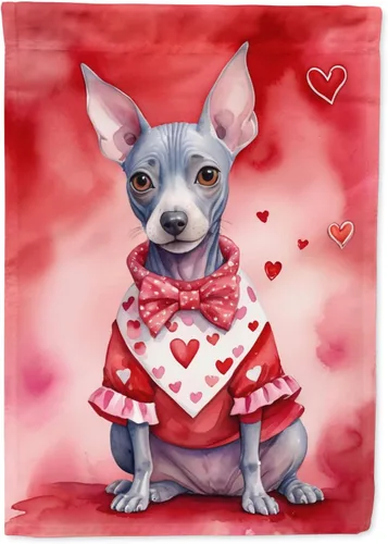 Vista 186 de Caroline's Treasures DAC5252GF Affenpinscher - Bandera de jardín con texto en inglés "My Valentine", bandera decorativa para patio exterior, patio
