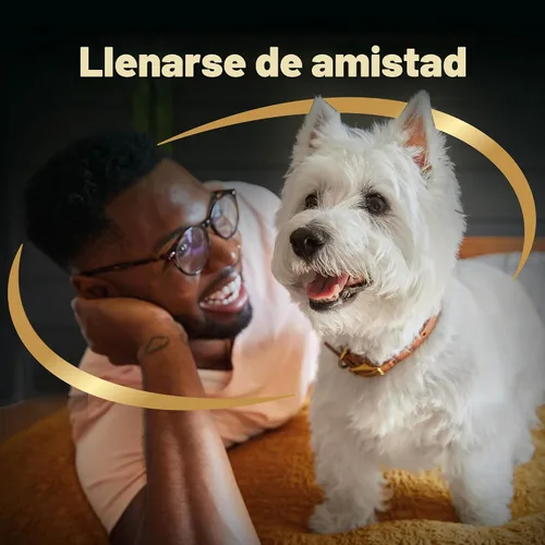 Vista 10 de Cesar Alimento seco para perros de raza pequeña para perros pequeños, sabor a pollo asado y guarnición de verduras de primavera, bolsa de 12 libras