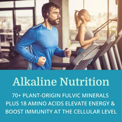 Vista 6 de Morter Trace Minerals (paquete de 2) - Gotas minerales coloidales fúlvicos con más de 70 minerales y 18 aminoácidos - Apoyo inmunológico, digestivo