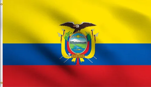 Vista 145 de DMSE - Bandera nacional beninesa beninesa de la República de África Occidental, 2 x 3 pies, 100 % poliéster, 100 % poliéster, resistente a los rayos