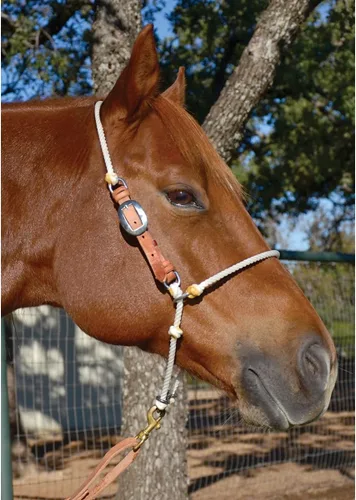 Vista 2 de Martin Saddlery Auriculares ajustables con punta de cuerda