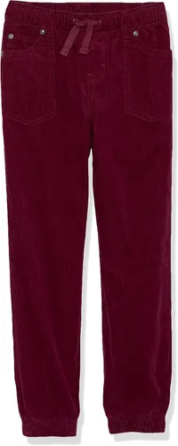 Vista 5 de Gymboree Boys and Toddler Pull on Jogger Pants Cedar Lake Cord