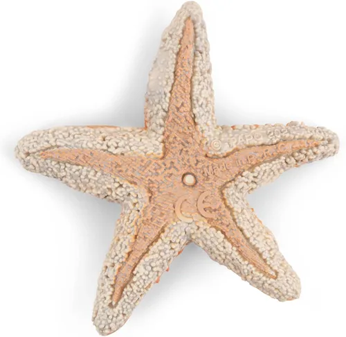 Vista 3 de Papo - Figura realista de estrella de mar para niños - A partir de 3 años - Colección de vida marina - Juego educativo Descubrimiento del océano